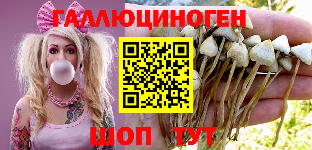 Галлюциногенные грибы мухоморы  купить наркотик  Галлюциногенные грибы MAGIC MUSHROOMS  Армавир  Вход с VPN 